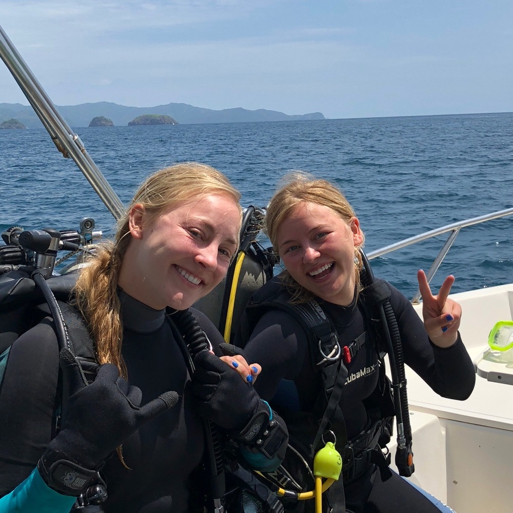 Meet your Posher, Hollis